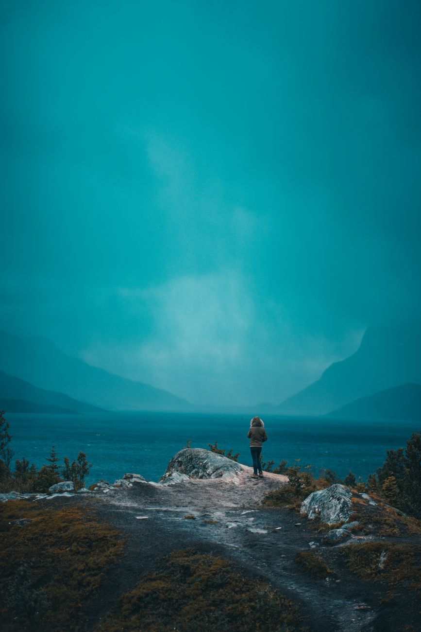 A traveler admiring misty fjords