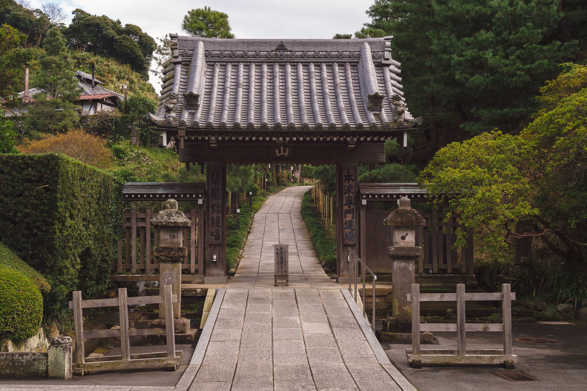 Traditional Japanese tea ritual